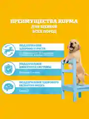 Cухой корм PEDIGREE® для щенков, полнорационный, с курицей, 13кг