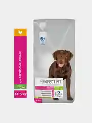 Сухой корм PERFECT FIT™ для собак средних и крупных пород старше года, с курицей, 14.5кг