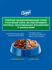 Сухой полнорационный корм для собак Chappi «Сытный мясной обед. Мясное изобилие», 2.5кг