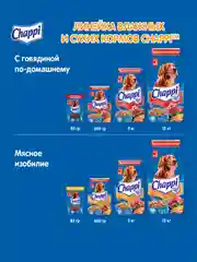 Сухой полнорационный корм для собак Chappi «Сытный мясной обед. Мясное изобилие», 2.5кг