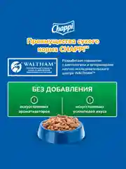 Сухой корм для собак Chappi «Сытный мясной обед. С говядиной по-домашнему» 15кг