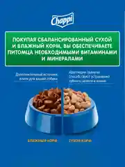 Сухой корм для собак Chappi «Сытный мясной обед. С говядиной по-домашнему» 15кг