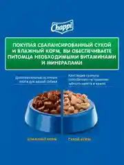 Влажный корм для собак Chappi «Сытный мясной обед. С говядиной по-домашнему», 28 шт по 85г