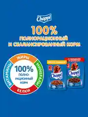 Влажный корм для собак Chappi «Сытный мясной обед. С говядиной по-домашнему», 28 шт по 85г