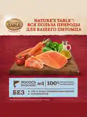 Влажный корм для кошек Nature’s Table™ Лосось в соусе, 28 шт по 85г