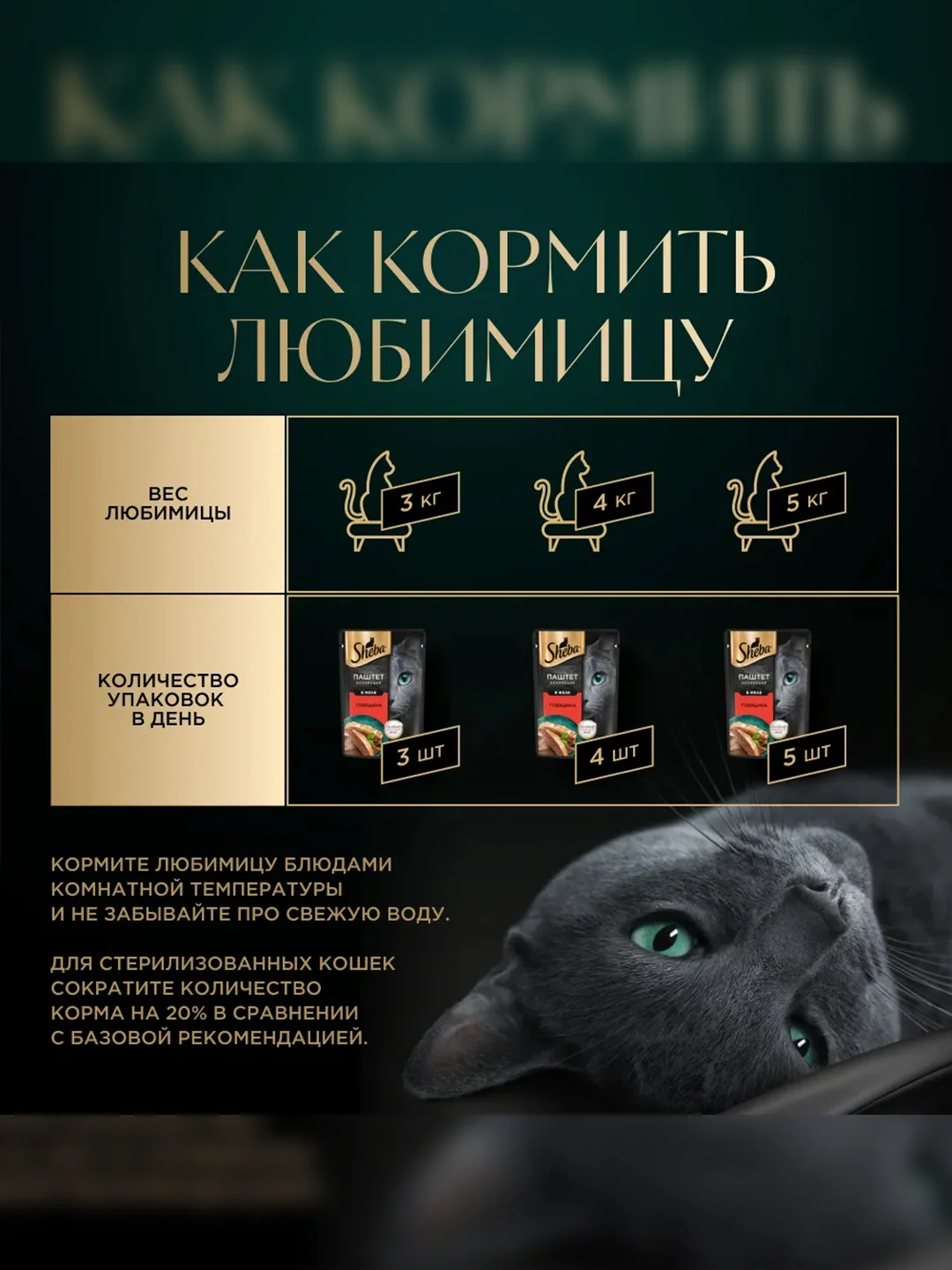Влажный корм для кошек SHEBA® Нежный паштет в желе, с говядиной, 28 шт по 75г
