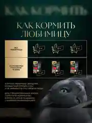 Влажный корм для кошек SHEBA® Нежный паштет в желе, с говядиной, 28 шт по 75г
