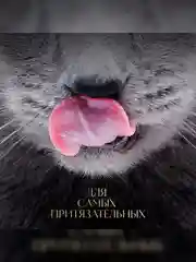 Влажный корм для кошек SHEBA® Нежный паштет в желе, с говядиной, 28 шт по 75г