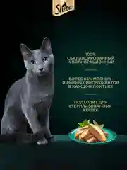 Влажный корм для кошек SHEBA® Нежный паштет в желе, с говядиной, 28 шт по 75г