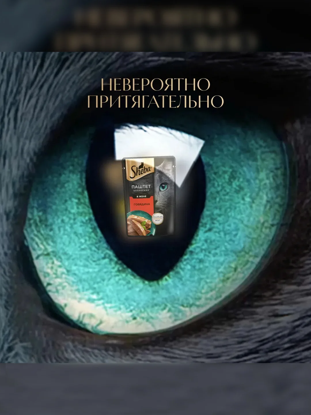 Влажный корм для кошек SHEBA® Нежный паштет в желе, с говядиной, 28 шт по 75г