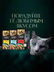 Влажный корм для кошек SHEBA® Нежный паштет в желе, с говядиной, 28 шт по 75г