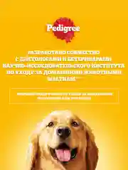 Сухой корм PEDIGREE® для собак, полнорационный, с говядиной, 600г
