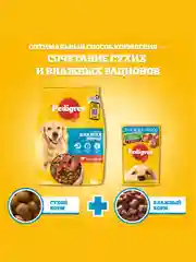 Сухой корм PEDIGREE® для собак, полнорационный, с говядиной, 600г
