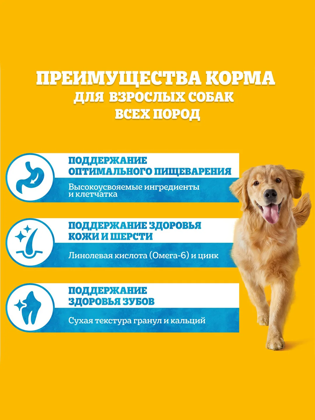 Сухой корм PEDIGREE® для собак, полнорационный, с говядиной, 600г