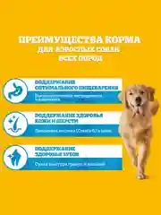 Сухой корм PEDIGREE® для собак, полнорационный, с говядиной, 600г