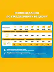 Сухой корм PEDIGREE® для собак, полнорационный, с говядиной, 600г