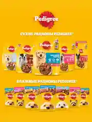 Сухой корм PEDIGREE® для собак, полнорационный, с говядиной, 600г
