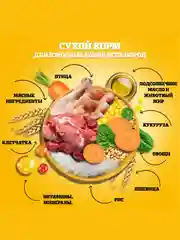 Сухой корм PEDIGREE® для собак, полнорационный, с говядиной, 600г