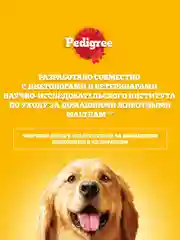 Сухой корм PEDIGREE® для щенков, полнорационный, с курицей, 600г