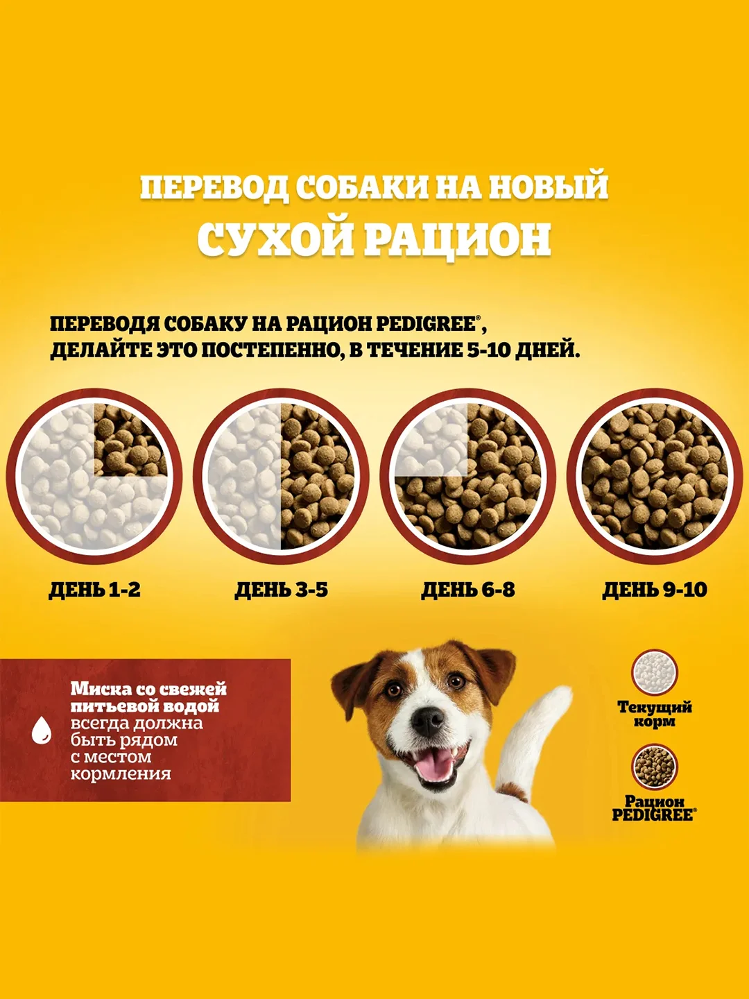 Сухой корм PEDIGREE® для собак маленьких пород, с говядиной, 600г