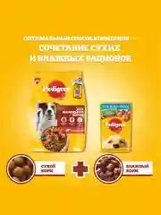 Сухой корм PEDIGREE® для собак маленьких пород, с говядиной, 600г