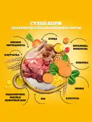 Сухой корм PEDIGREE® для собак маленьких пород, с говядиной, 600г