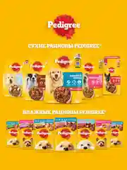 Сухой корм PEDIGREE® для собак маленьких пород, с говядиной, 600г