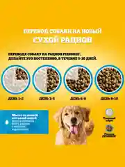 Сухой корм PEDIGREE® для собак, полнорационный, с говядиной, 13кг
