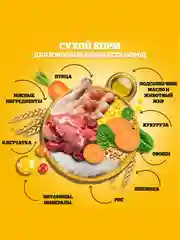 Сухой корм PEDIGREE® для собак, полнорационный, с говядиной, 13кг