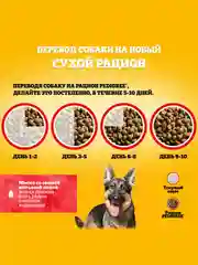 Сухой корм PEDIGREE® для собак крупных пород больше 25кг, с говядиной, 13кг