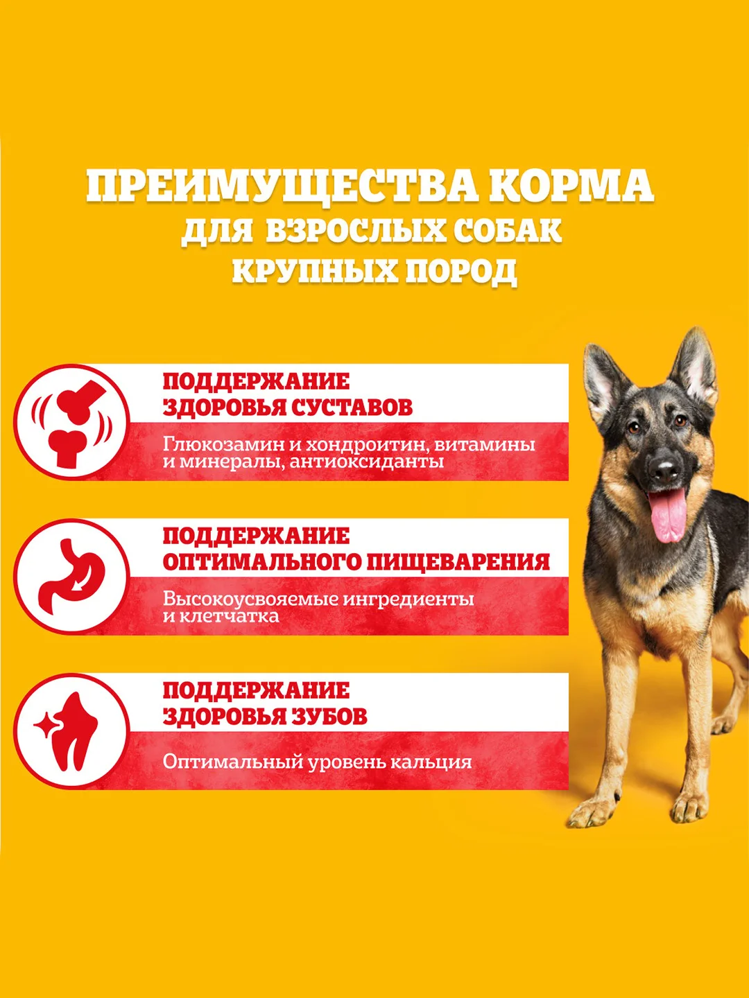 Сухой корм PEDIGREE® для собак крупных пород больше 25кг, с говядиной, 13кг