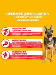Сухой корм PEDIGREE® для собак крупных пород больше 25кг, с говядиной, 13кг