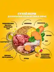 Сухой корм PEDIGREE® для собак крупных пород больше 25кг, с говядиной, 13кг