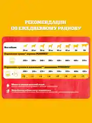 Сухой корм PEDIGREE® для собак крупных пород больше 25кг, с говядиной, 13кг