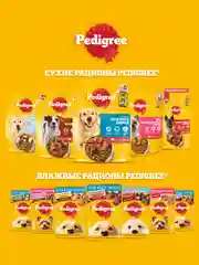 Сухой корм PEDIGREE® для собак крупных пород больше 25кг, с говядиной, 13кг