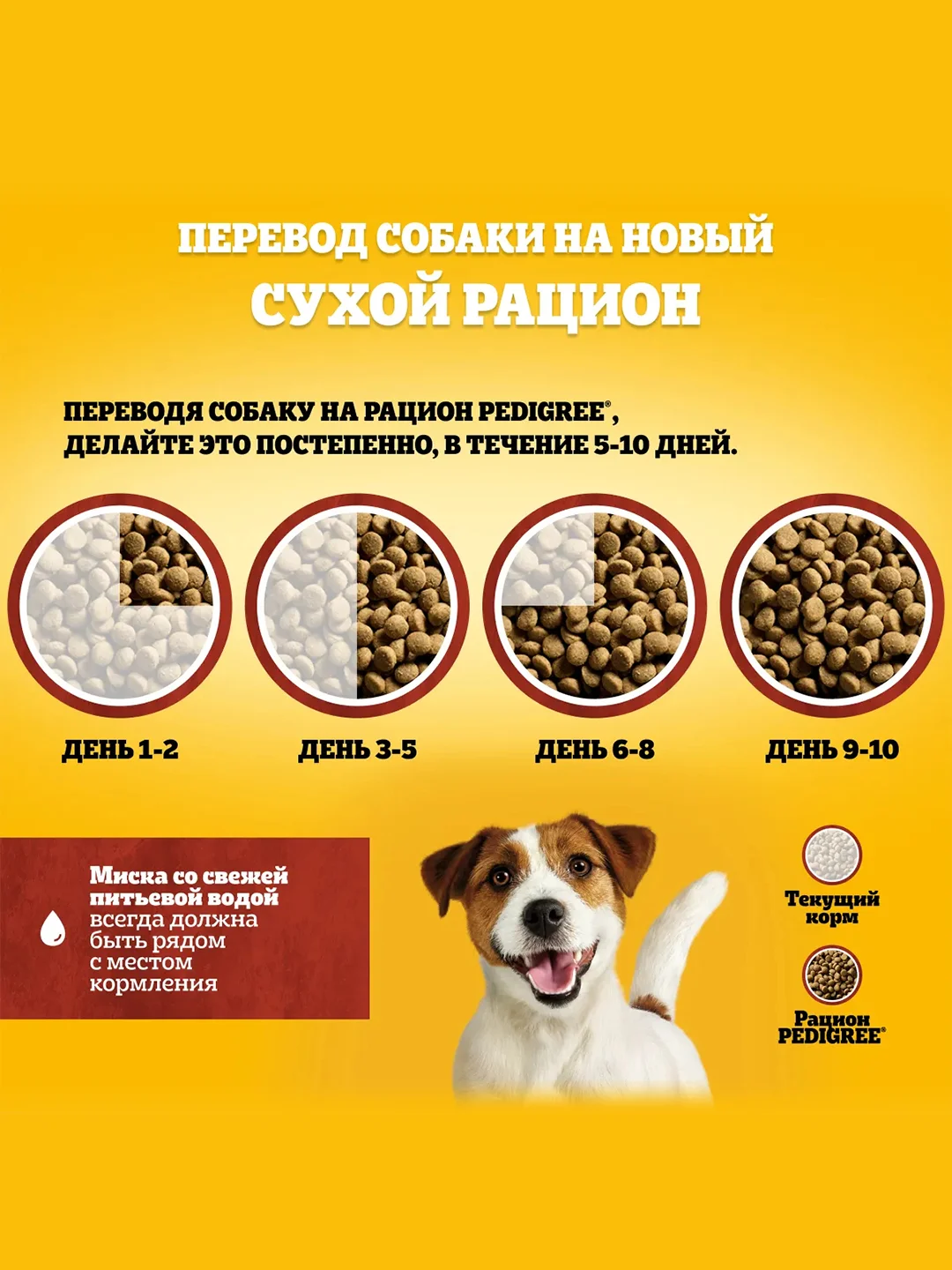 Сухой корм PEDIGREE® для собак маленьких пород, с говядиной, 13кг