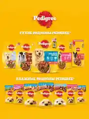 Сухой корм PEDIGREE® для собак маленьких пород, с говядиной, 13кг