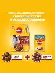 Сухой корм PEDIGREE® для собак маленьких пород, с говядиной, 13кг