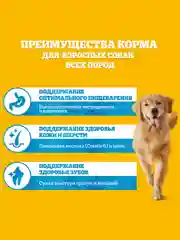 Сухой корм PEDIGREE® для собак, полнорационный, с говядиной, 2.2кг