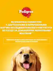 Сухой корм PEDIGREE® для собак, полнорационный, с говядиной, 2.2кг
