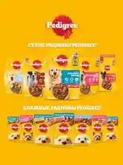 Сухой корм PEDIGREE® для собак, полнорационный, с говядиной, 2.2кг