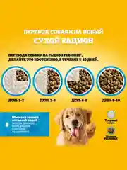 Сухой корм PEDIGREE® для собак, полнорационный, с говядиной, 2.2кг