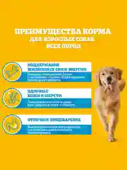 Влажный корм PEDIGREE® для собак, курица в соусе, 28 шт по 85г
