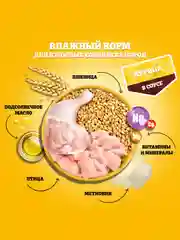 Влажный корм PEDIGREE® для собак, курица в соусе, 28 шт по 85г