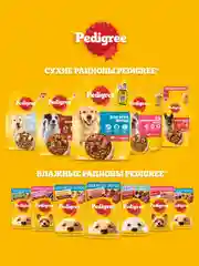 Влажный корм PEDIGREE® для собак, курица в соусе, 28 шт по 85г