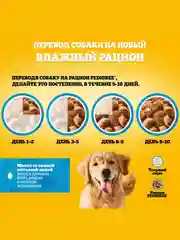 Влажный корм PEDIGREE® для собак, говядина и ягненок в соусе, 28 х 85г