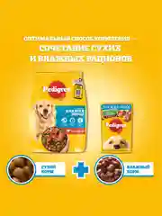 Влажный корм PEDIGREE® для собак, говядина и ягненок в соусе, 28 х 85г