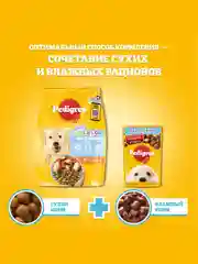 Влажный корм PEDIGREE® для щенков, говядина в соусе, 28 шт по 85г