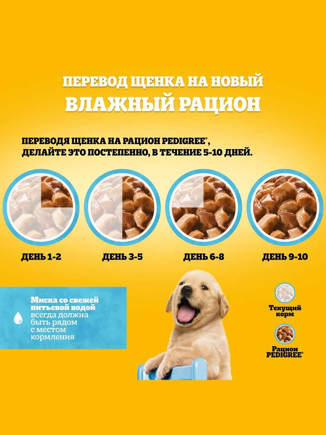 Влажный корм PEDIGREE® для щенков, говядина в соусе, 28 шт по 85г