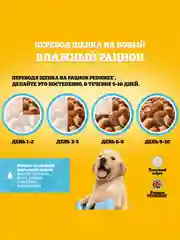 Влажный корм PEDIGREE® для щенков, говядина в соусе, 28 шт по 85г